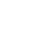 icon-li